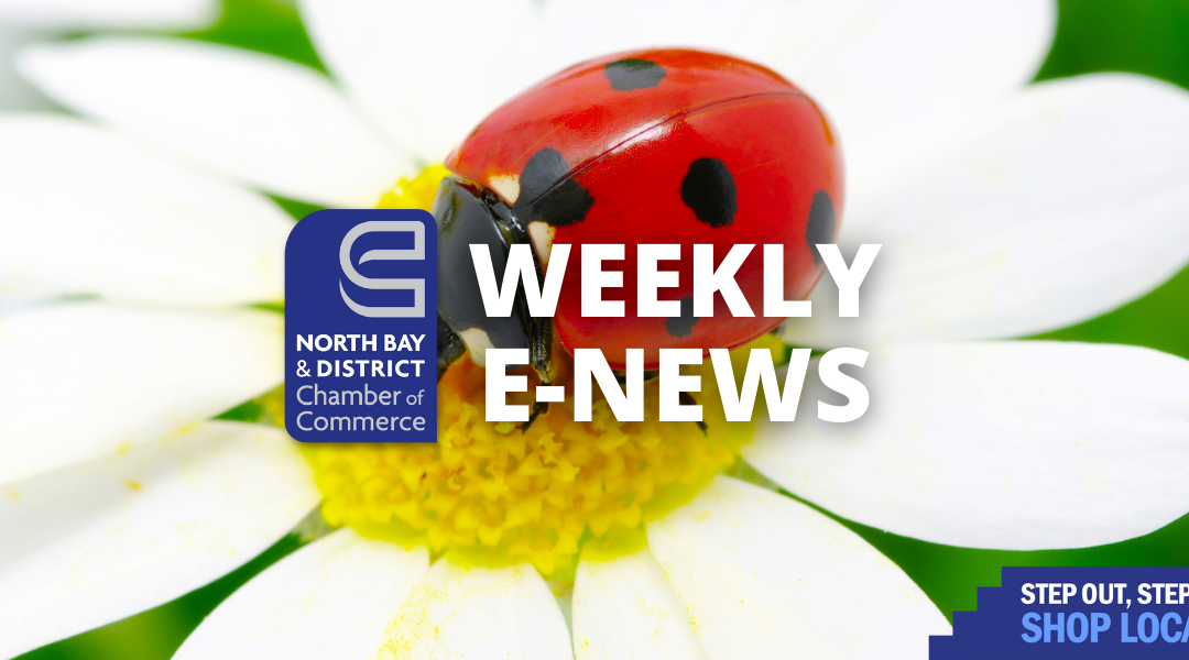 Weekly E-News – June 26, 2024